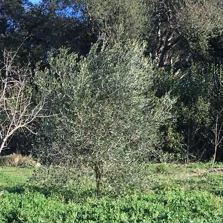 U Stalerone * Canale-di-Verde